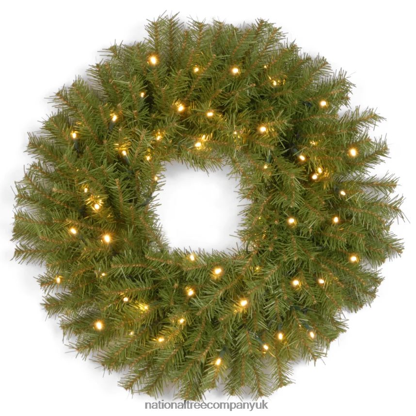 Greenery | National Tree Company Pre-Lit Artificial Christmas Wreath Norwood Fir with Twinkly LED Lights Plug in 24 in F2L4F289
